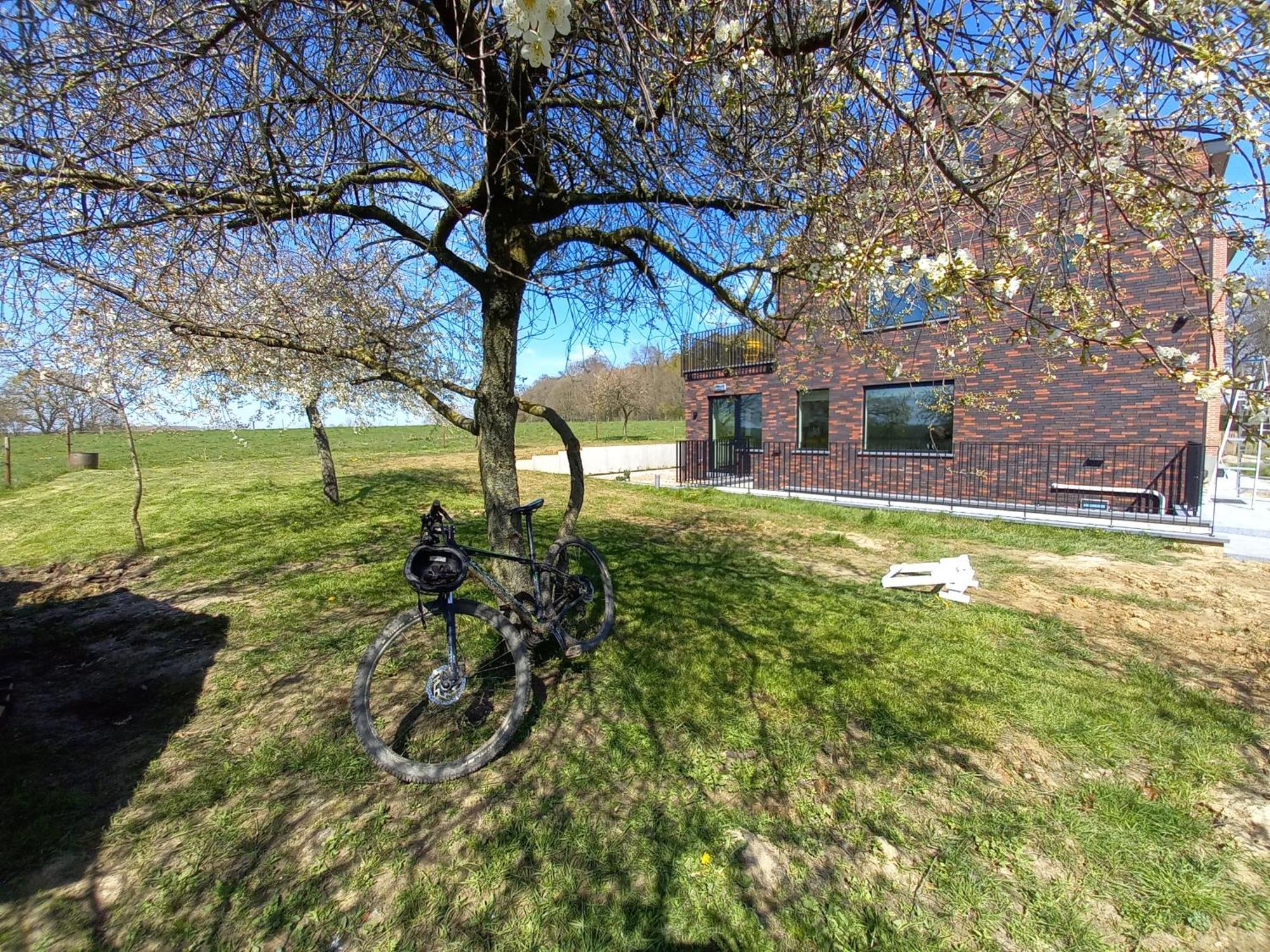 Bed and Breakfast Trionfo Gaasbeek Esterno foto