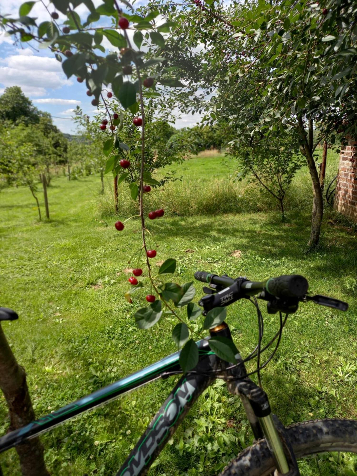 Bed and Breakfast Trionfo Gaasbeek Esterno foto
